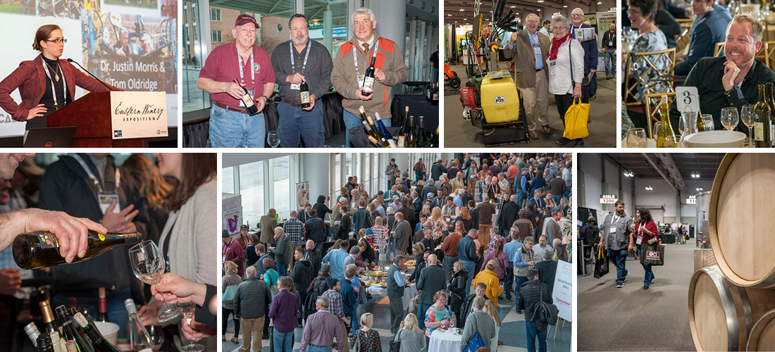 Grid of photos from 2019 Eastern Winery Exposition
